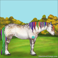 Horse Color:ERROR: UNKNOWN ANOMALY