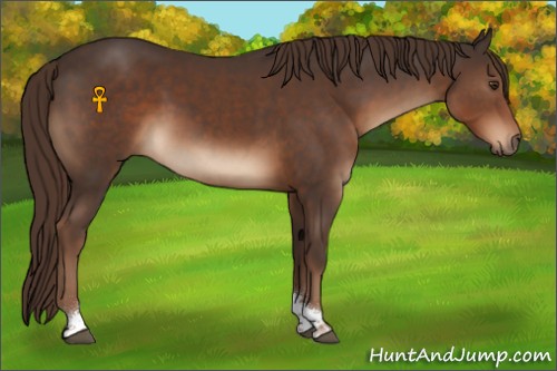 Horse Color:Liver Chestnut Tobiano 