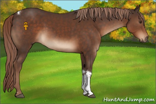 Horse Color:Liver Chestnut Tobiano 