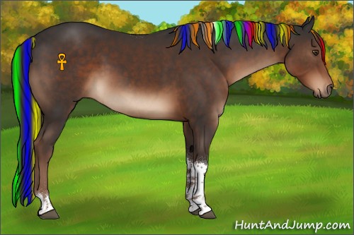 Horse Color:Painted Liver Chestnut Tobiano 