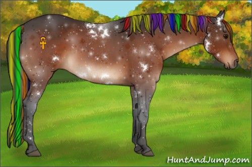 Horse Color:Painted White Spotted Bay 