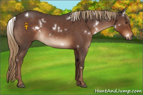 Horse Color:White Spotted Liver Red Roan 