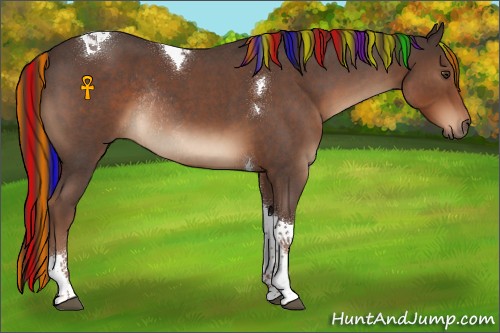 Horse Color:Painted Liver Red Roan Tobiano Rabicano 