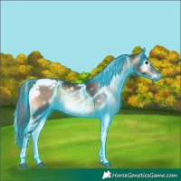 Horse Color:Gray Thunderstruck White Spotted Brown Onyx Tobiano 