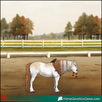 Horse Color:White Spotted Red Dun