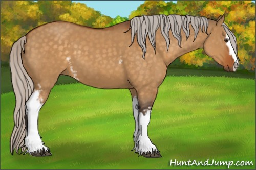 Horse Color:White Spotted Silver Buckskin Dun 