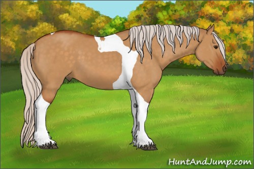 Horse Color:Silver Buckskin Dun Tobiano 