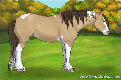 Horse Color:Classic Cream Champagne Dun Splash Tobiano 