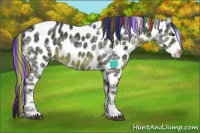Horse Color:Painted Black Ice Sabino Leopard 