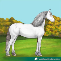 Horse Color:Platinum Chocolate Brown Sabino 