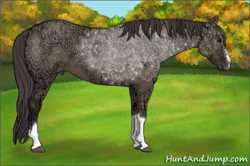 Horse Color:Smoky Grullo Ice 