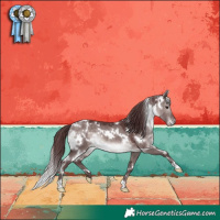 Horse Color:Platinum White Spotted Chocolate Brown Dun 