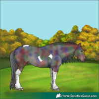 Horse Color:Nacre Black Tobiano 