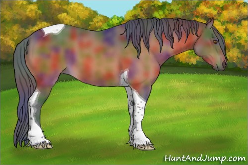 Horse Color:Nacre Bay Tobiano