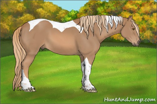 Horse Color:Chestnut Tobiano 