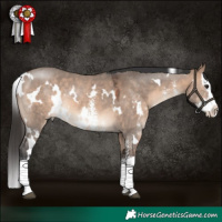 Horse Color:White Spotted Brown Dun Mushroom Sabino Splash 