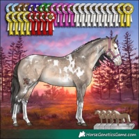Horse Color:White Spotted Brown Dun Mushroom Sabino Splash