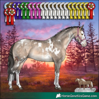 Horse Color:White Spotted Brown Dun Mushroom Sabino Splash