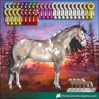 Horse Color:White Spotted Brown Dun Mushroom Sabino Splash 