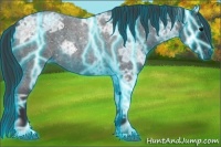 Horse Color:Thunderstruck Blue Ice Roan 