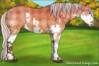 Horse Color:Plaid Silver Brown Dun Splash Tobiano Rabicano