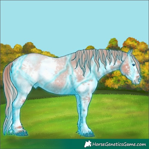 Horse Color:Thunderstruck Red Dun Roan Splash Rabicano 