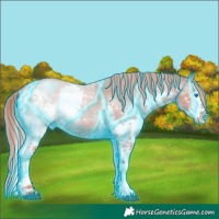 Horse Color:Thunderstruck Red Dun Roan Splash Rabicano 
