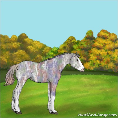 Horse Color:Nacre Silver Blue Ice Roan Splash