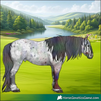 Horse Color:Nacre Blue Ice Roan 