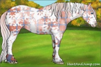 Horse Color:Plaid  Silver Brown Dun Splash Tobiano Rabicano 