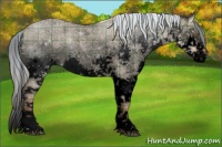 Horse Color:Void Plaid  Silver Bay Roan Dun Splash Rabicano 