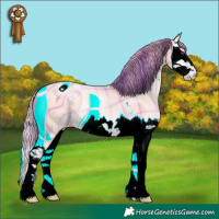 Horse Color:ERROR: UNKNOWN ANOMALY