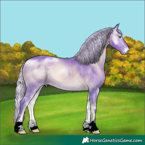 Horse Color:ERROR: UNKNOWN ANOMALY