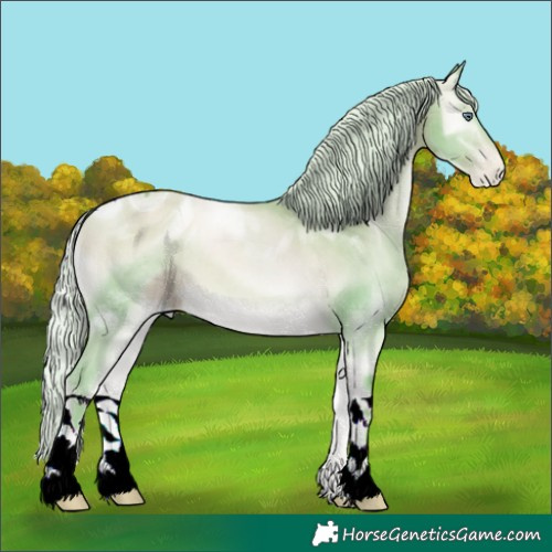 Horse Color:ERROR: UNKNOWN ANOMALY