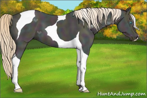Horse Color:Midnight Perlino Ice Tobiano 
