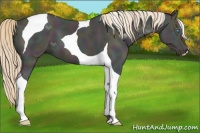 Horse Color:Midnight Perlino Ice Tobiano 