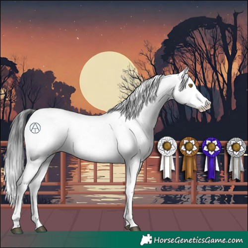 Horse Color:Brown Sabino
