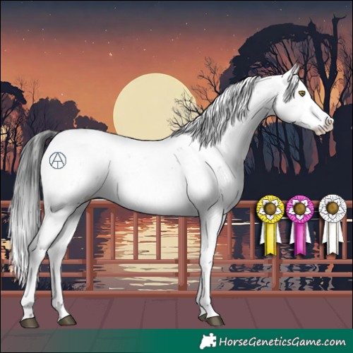 Horse Color:Brown Sabino