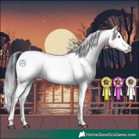 Horse Color:Brown Sabino 
