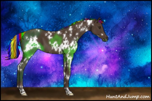 Horse Color:Painted White Spotted Liver Chestnut