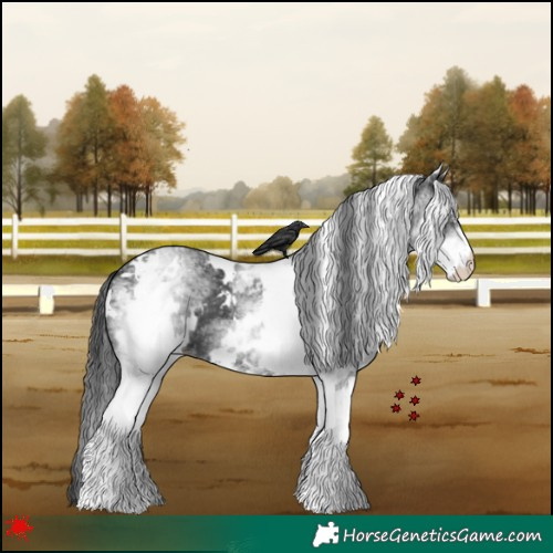 Horse Color:White Spotted Black