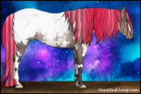 Horse Color:Painted White Spotted Silver Grullo Snowcap Rabicano 
