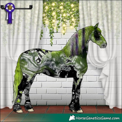 Horse Color:ERROR: UNKNOWN ANOMALY