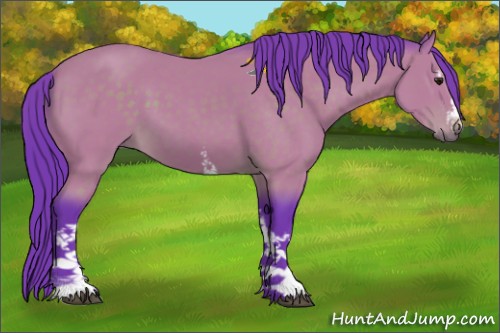 Horse Color:Watercolor White Spotted Brown 