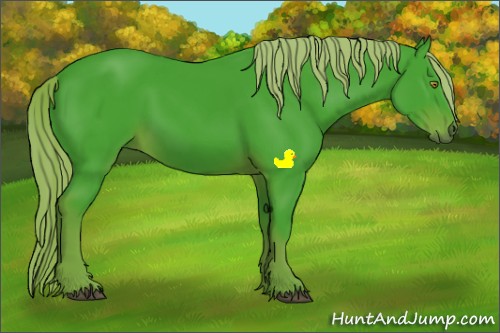 Horse Color:Watercolor Liver Chestnut Sabino 