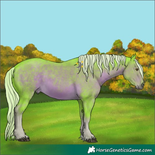 Horse Color:Watercolor Chocolate Palomino Sabino 