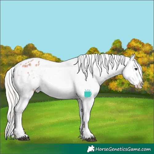 Horse Color:Silver Bay Roan Tobiano Varnish 