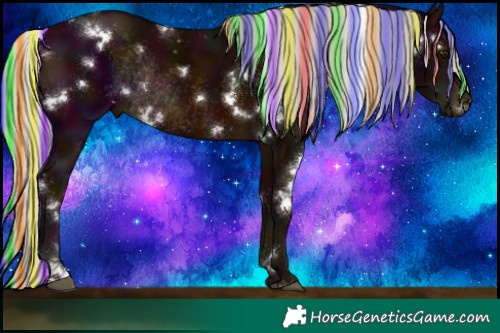 Horse Color:Painted White Spotted Midnight Silver Bay Rabicano