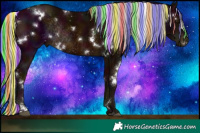 Horse Color:Painted White Spotted Midnight Silver Bay Rabicano 