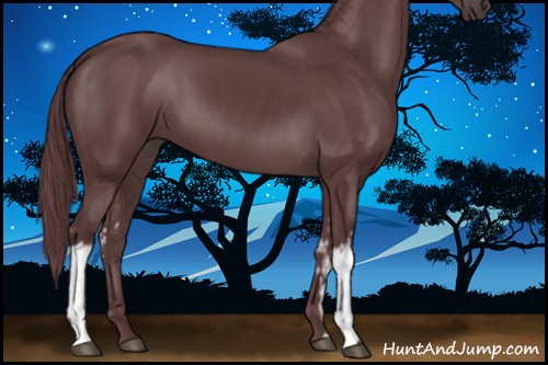 Horse Color:White Spotted Chocolate Black 